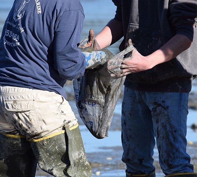 Placing the sample in a bag