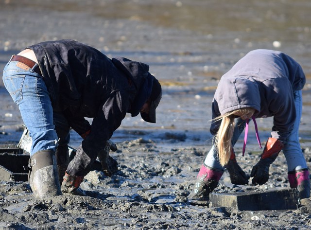 flipping settlement boxes over