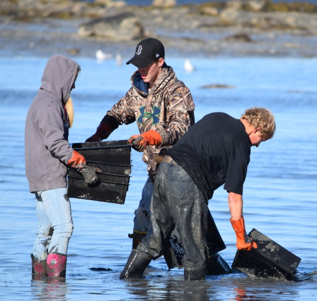 cleaning settlement boxes