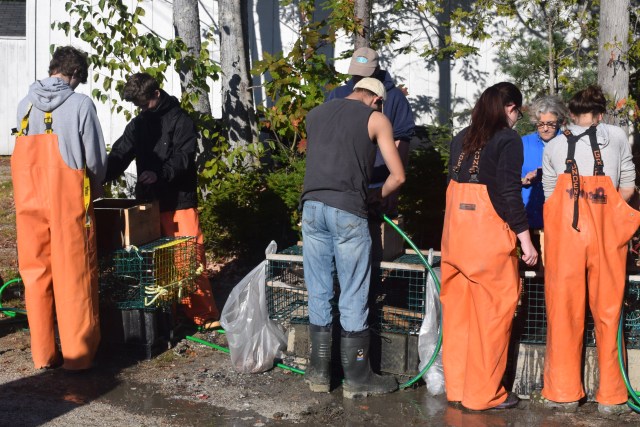 Students washing mud from clam samples