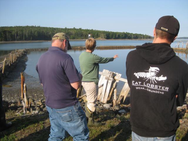 Looking over the future research site