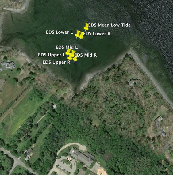 google earth view of transects