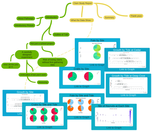 Mind map with graphs